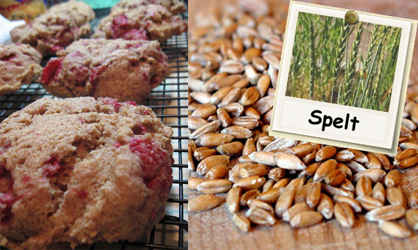 spelt baking raspberry scone recipe